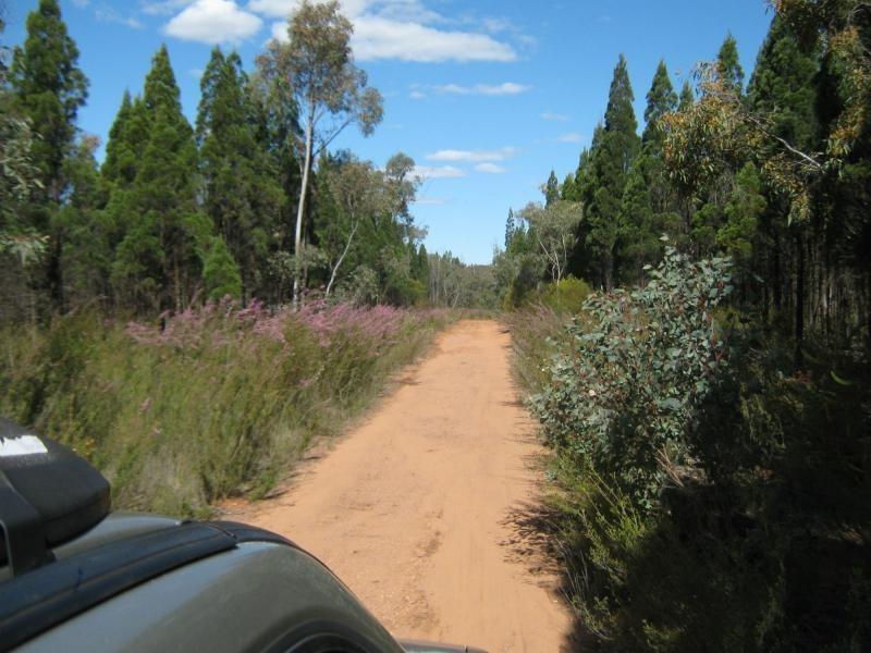 L4 Spicers Creek Road, Elong Elong NSW 2831