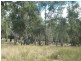 L4 Spicers Creek Road, Elong Elong NSW 2831