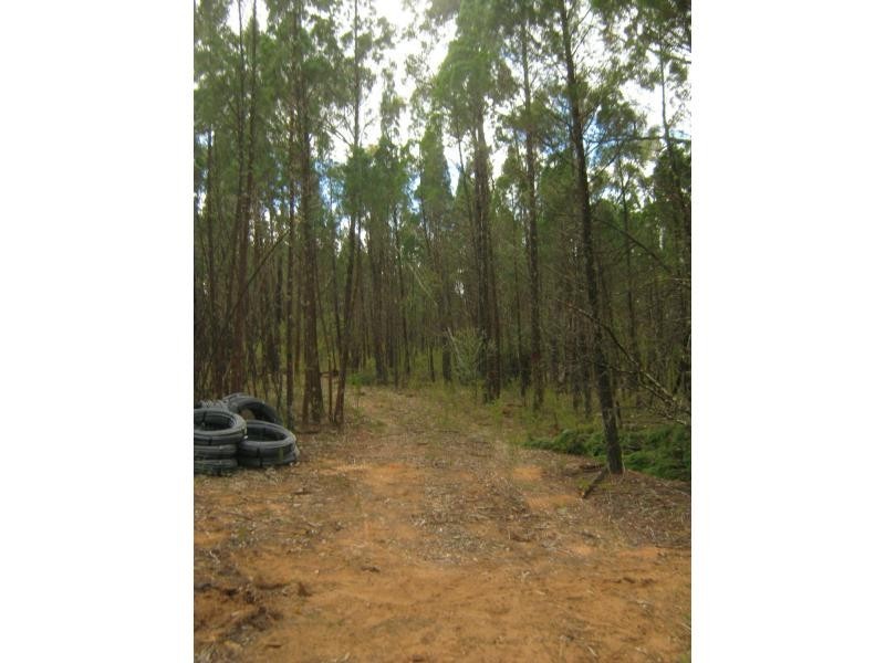L4 Spicers Creek Road, Elong Elong NSW 2831