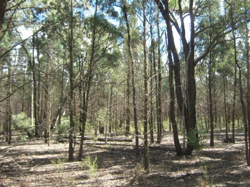 L4 Spicers Creek Road, Elong Elong NSW 2831