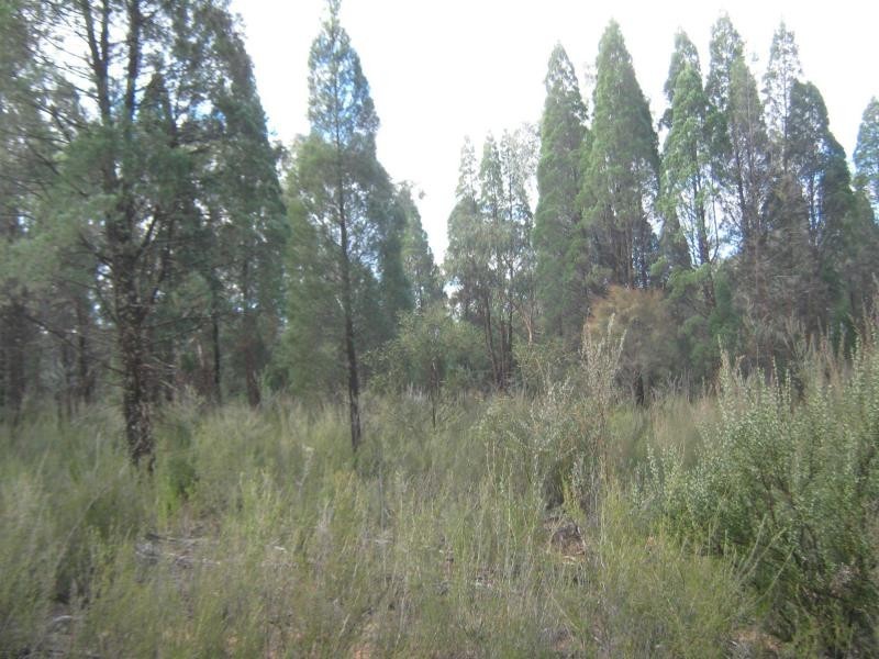 L4 Spicers Creek Road, Elong Elong NSW 2831