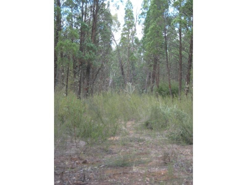 L4 Spicers Creek Road, Elong Elong NSW 2831