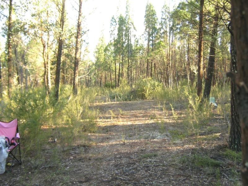 L4 Spicers Creek Road, Elong Elong NSW 2831