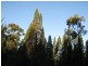 L4 Spicers Creek Road, Elong Elong NSW 2831