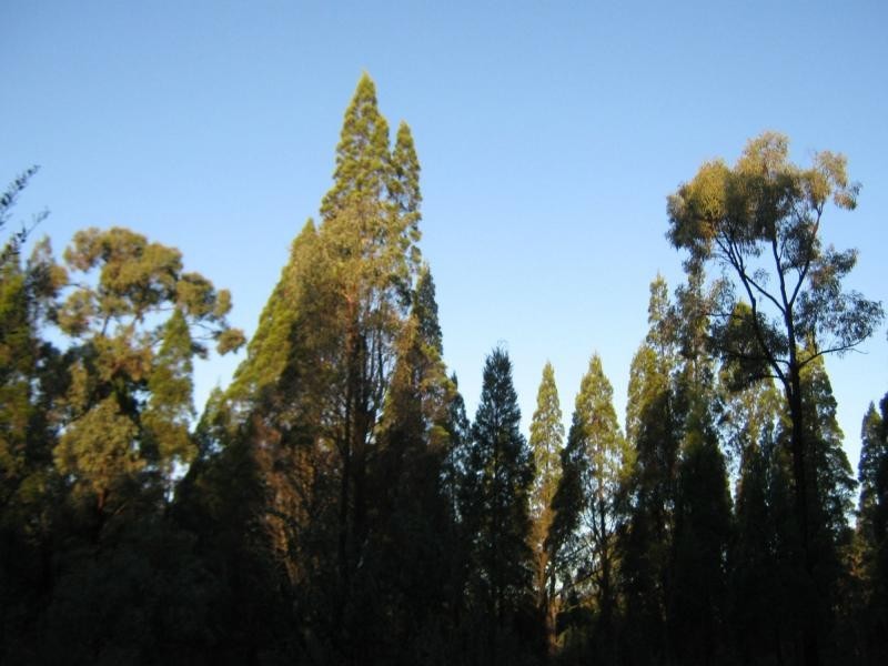 L4 Spicers Creek Road, Elong Elong NSW 2831