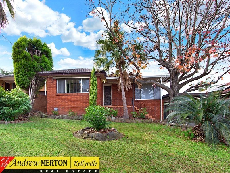 17 Laloki Street, Seven Hills NSW 2147