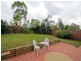 166 McFarlane Drive, Minchinbury NSW 2770