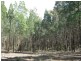 L4 Spicers Creek Road, Elong Elong NSW 2831