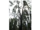 L4 Spicers Creek Road, Elong Elong NSW 2831