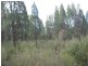L4 Spicers Creek Road, Elong Elong NSW 2831