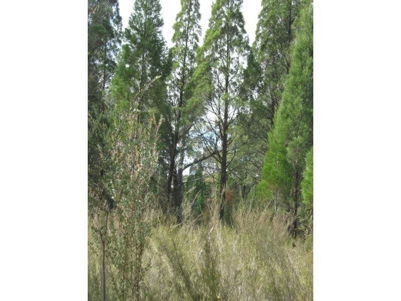 L4 Spicers Creek Road, Elong Elong NSW 2831
