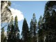 L4 Spicers Creek Road, Elong Elong NSW 2831