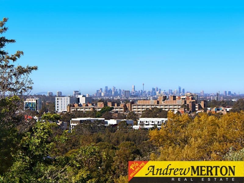 17 & 19 Caloola Road, Constitution Hill NSW 2145