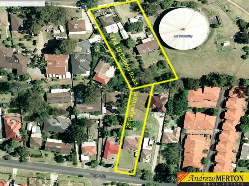 17 & 19 Caloola Road, Constitution Hill NSW 2145