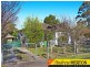 17 & 19 Caloola Road, Constitution Hill NSW 2145