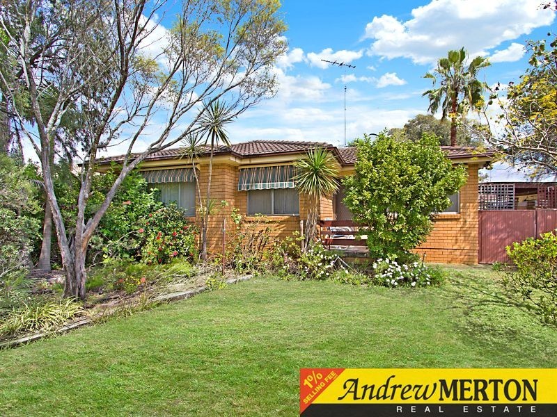 81 Lovegrove Drive, Quakers Hill NSW 2763