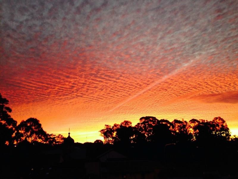 39/29 Kildare Road, Blacktown NSW 2148