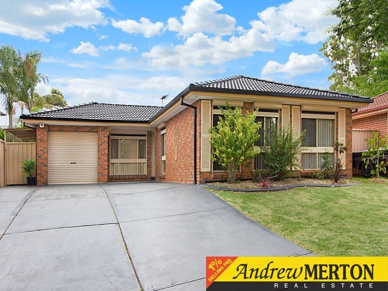 24 Adrienne Street, Glendenning NSW 2761