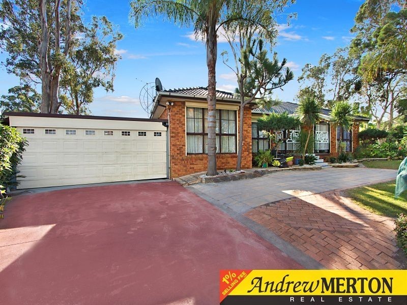 1 Palm Place, Bidwill NSW 2770