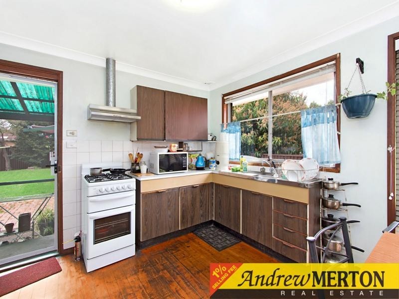 24 Vianney Crescent, Toongabbie NSW 2146