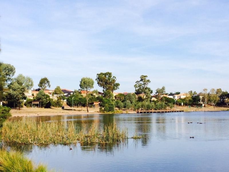 56 Bandicoot Drive, Woodcroft NSW 2767