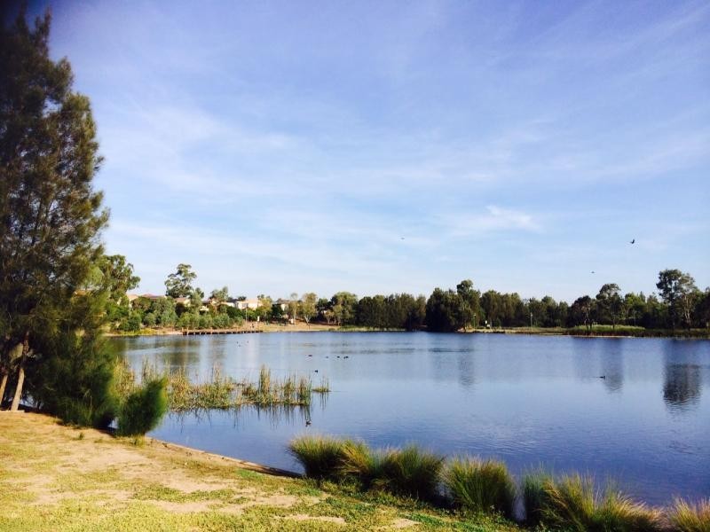 56 Bandicoot Drive, Woodcroft NSW 2767