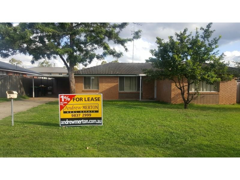 6 Lamming Place, St Marys NSW 2760