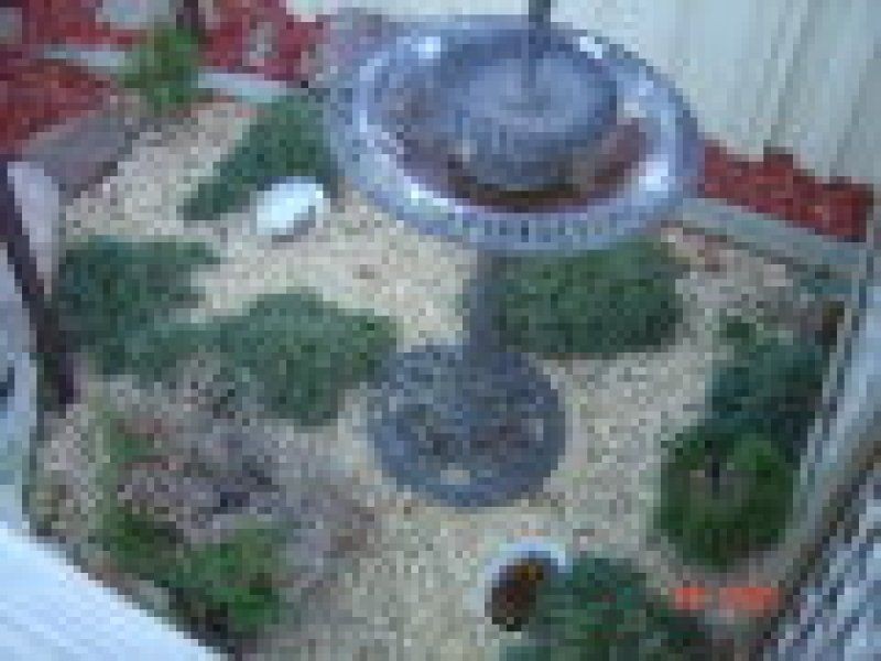 85 Winten Street, Glendenning NSW 2761