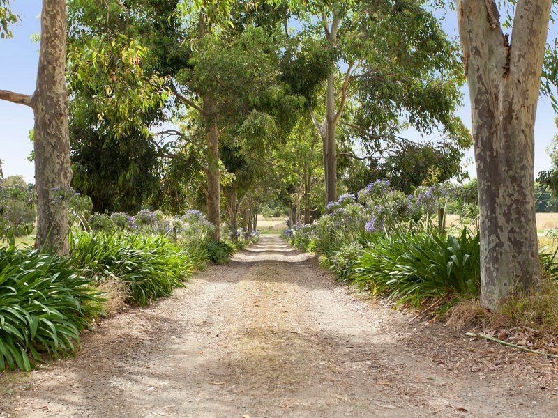 10A Carpenters Lane North, Hastings VIC 3915