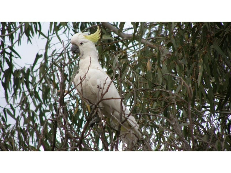 10 Emu Road, Emu VIC 3475