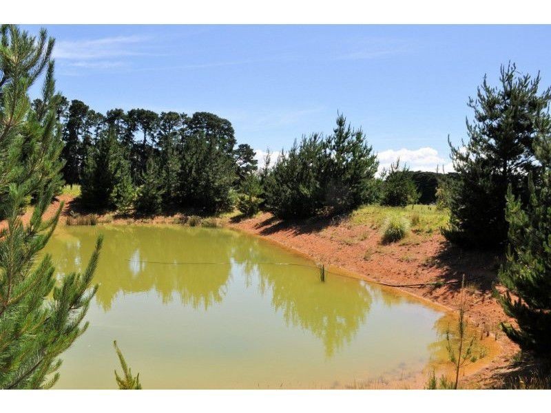 44 Graydens Road, Tyabb VIC 3913