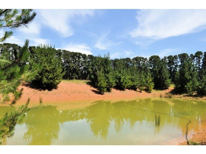 44 Graydens Road, Tyabb VIC 3913