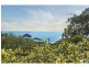 8 Waller Place, Mccrae VIC 3938