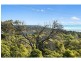 8 Waller Place, Mccrae VIC 3938