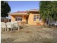 357 Regency Road, Prospect SA 5082