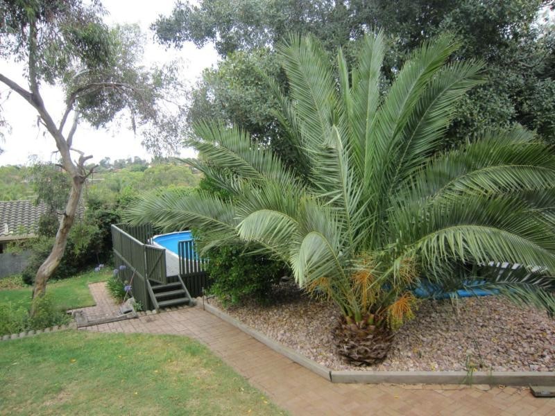 4 Plews Avenue, Valley View SA 5093