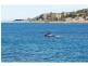 29 1-5 Flinders Parade, Breeze Apartments, Victor Harbor SA 5211