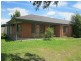 16 Fetlock Lane, Cranbourne East VIC 3977