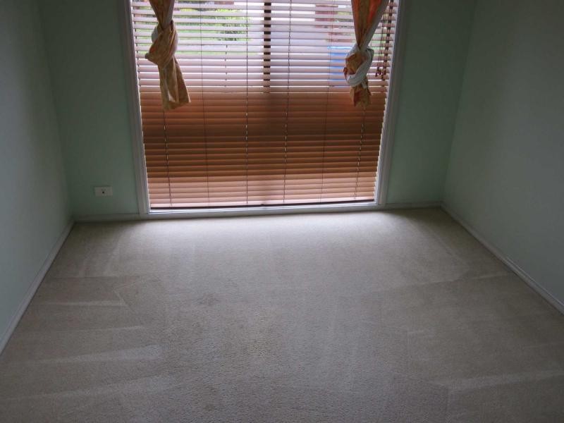 16 Fetlock Lane, Cranbourne East VIC 3977
