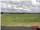 387 Coster Road, Ripplebrook VIC 3818