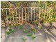 15 Forrest Avenue, Wahroonga NSW 2076