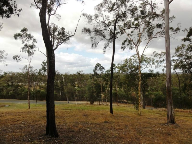 106 Guara Grove East, Pimpama QLD 4209