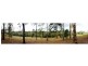 106 Guara Grove East, Pimpama QLD 4209