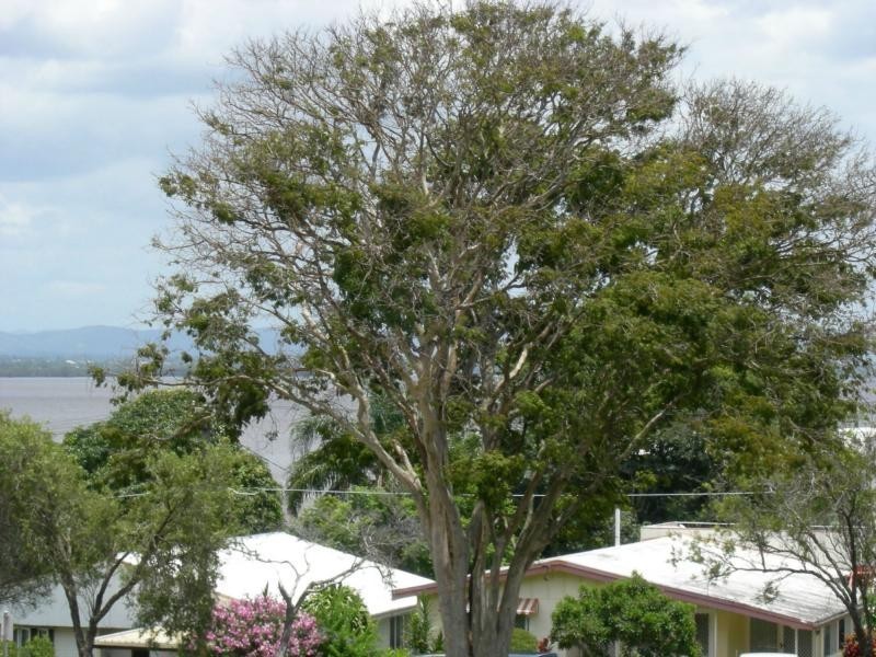 Scarborough QLD 4020