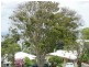 Scarborough QLD 4020