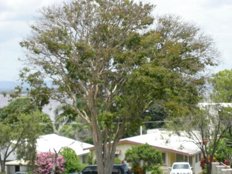 Scarborough QLD 4020