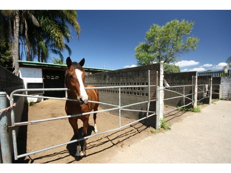 17 Knight Street, Redcliffe QLD 4020