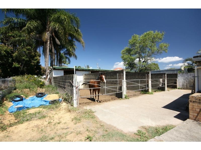 17 Knight Street, Redcliffe QLD 4020