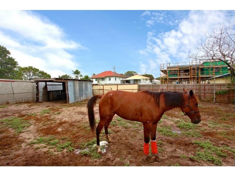 9 Knight Street, Redcliffe QLD 4020