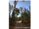 104 Jones Road, Severnlea QLD 4380